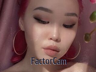 FactorCam