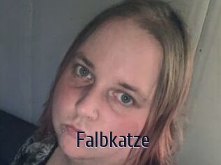 Falbkatze