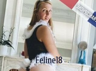 Feline18