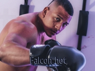 Falcon_hot