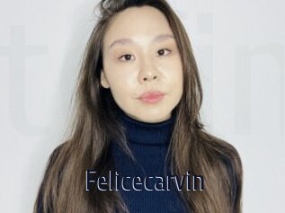 Felicecarvin