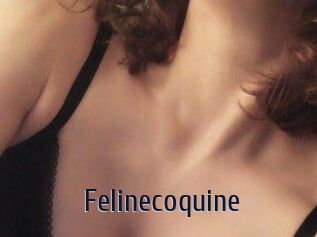 Felinecoquine