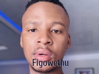 Figowethu