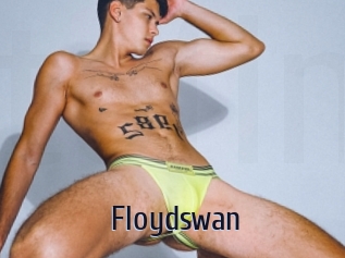 Floydswan