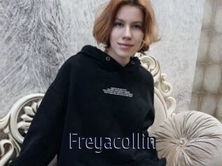 Freyacollin