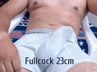 Fullcock_23cm