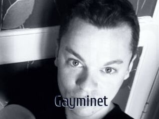 Gayminet