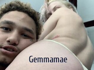 Gemmamae