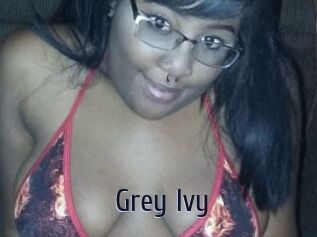 Grey_Ivy