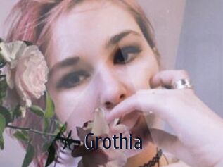 Grothia