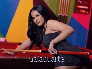 Gaiaduarte