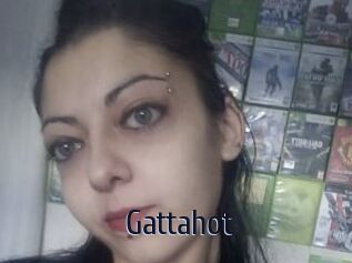 Gattahot