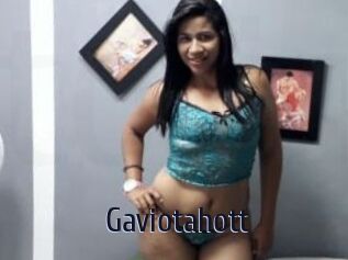 Gaviotahott