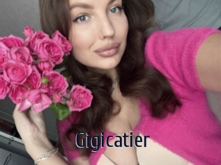 Gigicatier