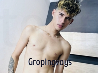 Gropingvoys