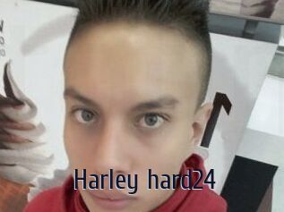 Harley_hard24