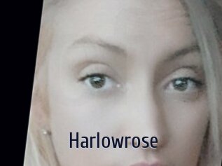 Harlowrose