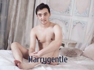 Harrygentle