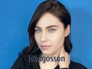 Hildgosson
