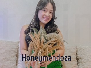 Honeymendoza