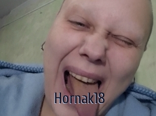 Hornak18