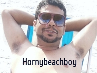 Hornybeachboy