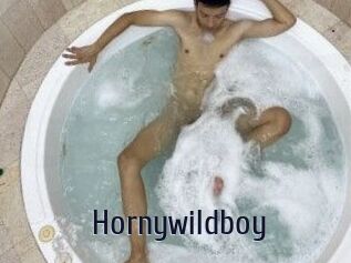 Hornywildboy