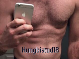 Hungbistud18