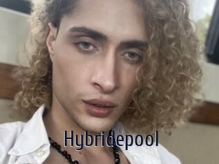 Hybridepool