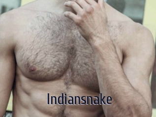 Indiansnake