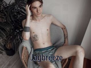 Jaybreeze