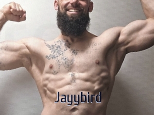 Jayybird