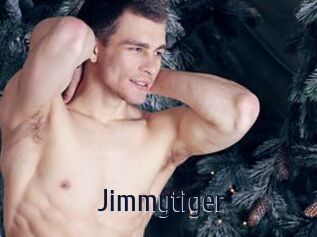 Jimmytiger