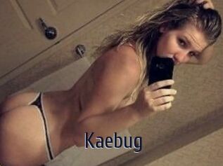 Kaebug