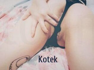 Kotek