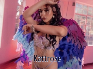 Kattrose