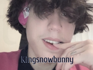 Kingsnowbunny