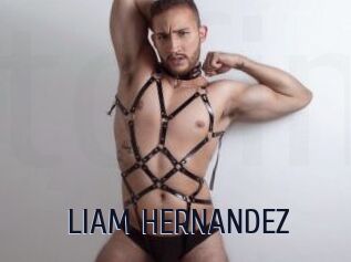 LIAM_HERNANDEZ