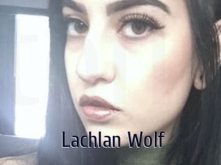 Lachlan_Wolf