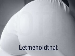 Letmeholdthat