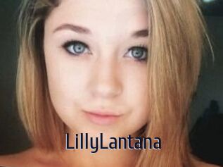 LillyLantana