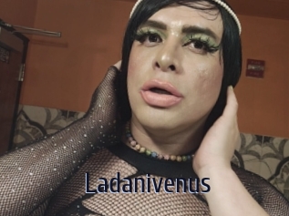 Ladanivenus