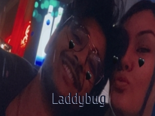 Laddybug