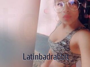 Latinbadrabbit