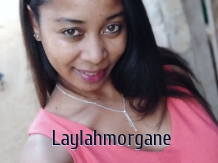 Laylahmorgane