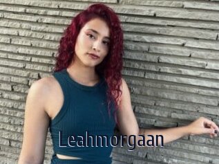 Leahmorgaan