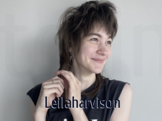 Leilaharvison