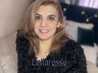 Leilarosse