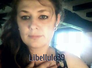 Libellule39