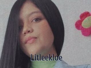 Litleekloe